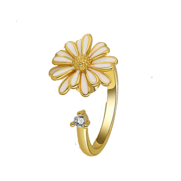 Spinner Rings For Women | Stylish Anxiety Fidget Ring Online – Spin N ...